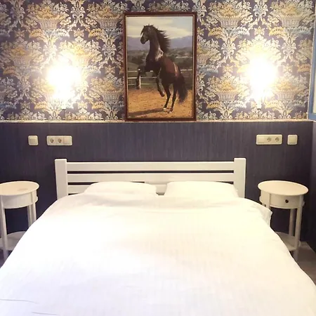 Apartmán Central Boutique *